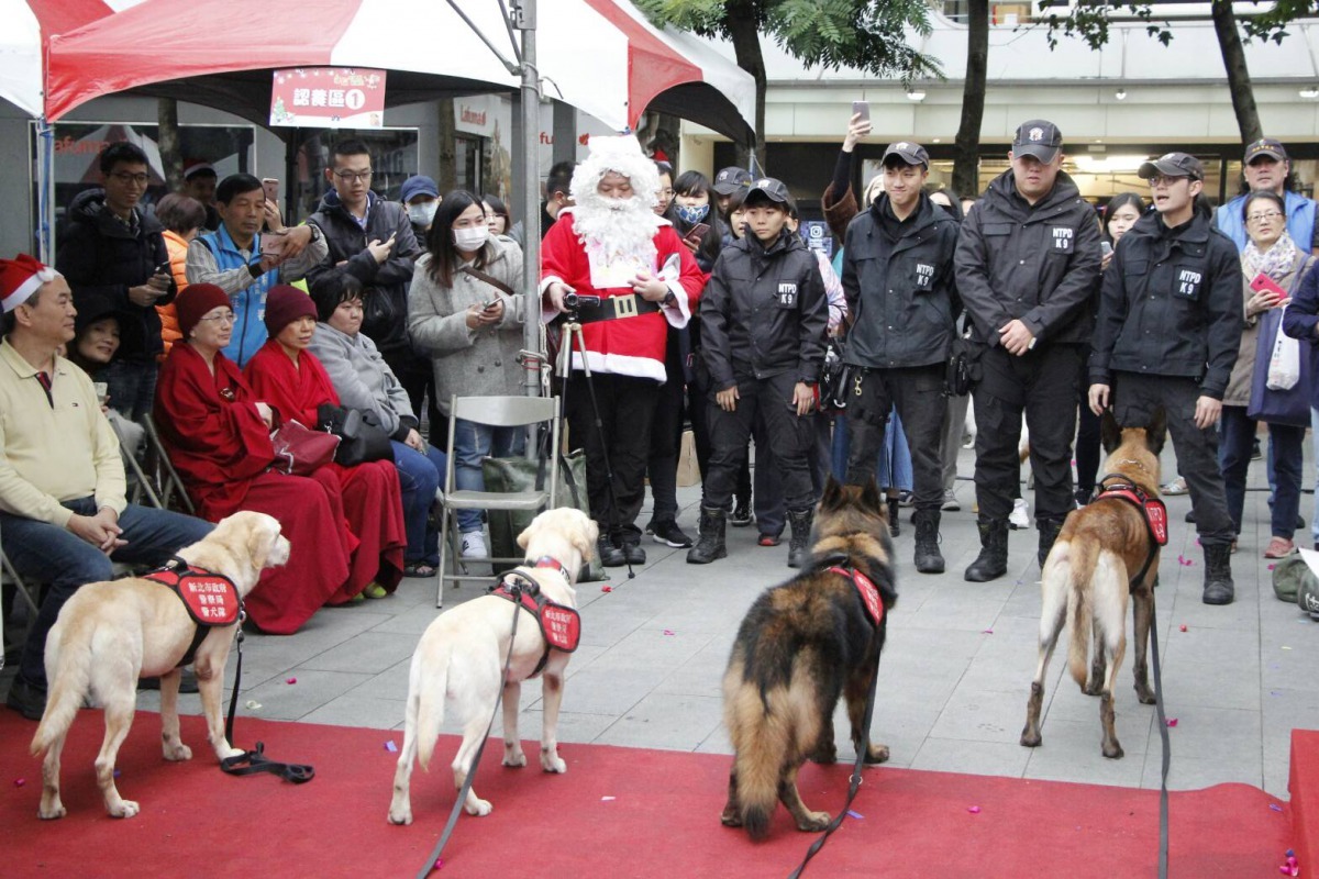 超人氣的新北市警犬隊在現場進行訓練表演。劉凱/攝