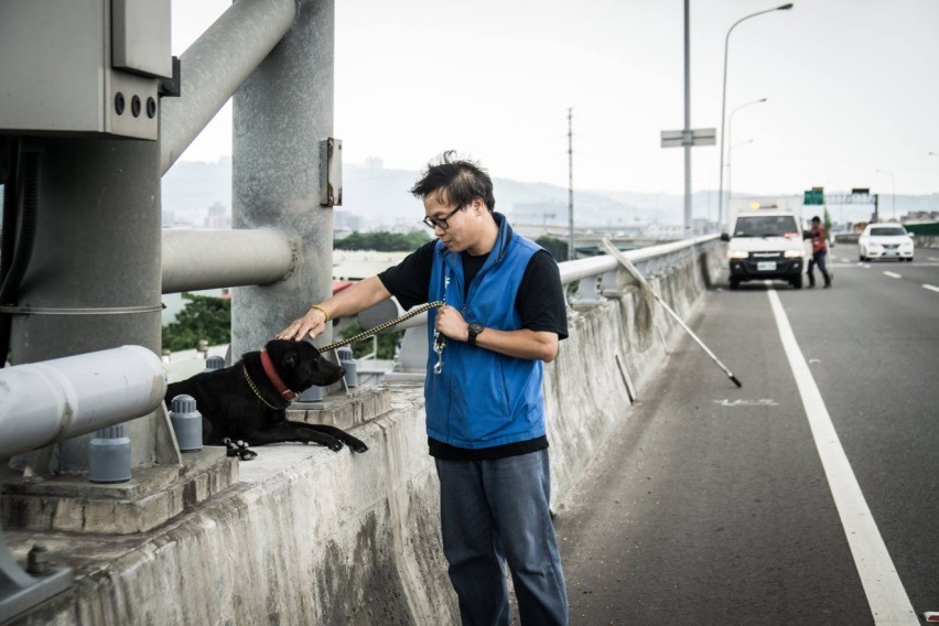 新北市動保員成功救出誤闖快速道路的毛寶貝。劉凱/翻攝
