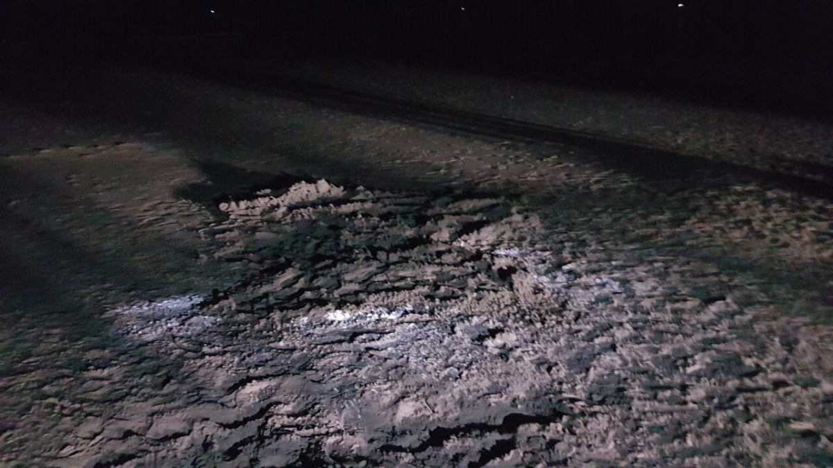 現場掩埋完畢後，灑生石灰消毒。圖／台南市動保處提供