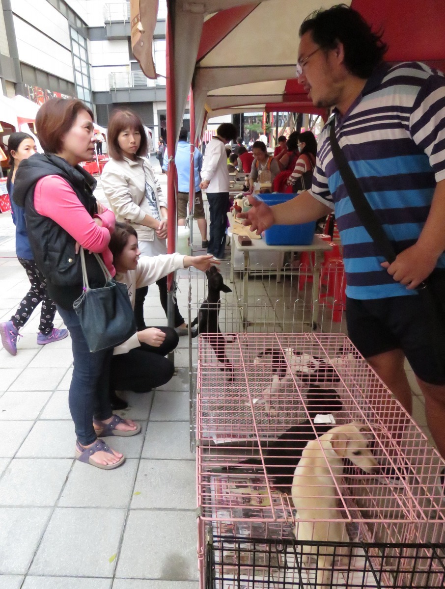 動保處人員詳細為詢問認養的民眾告知相關事項。高維奇/攝