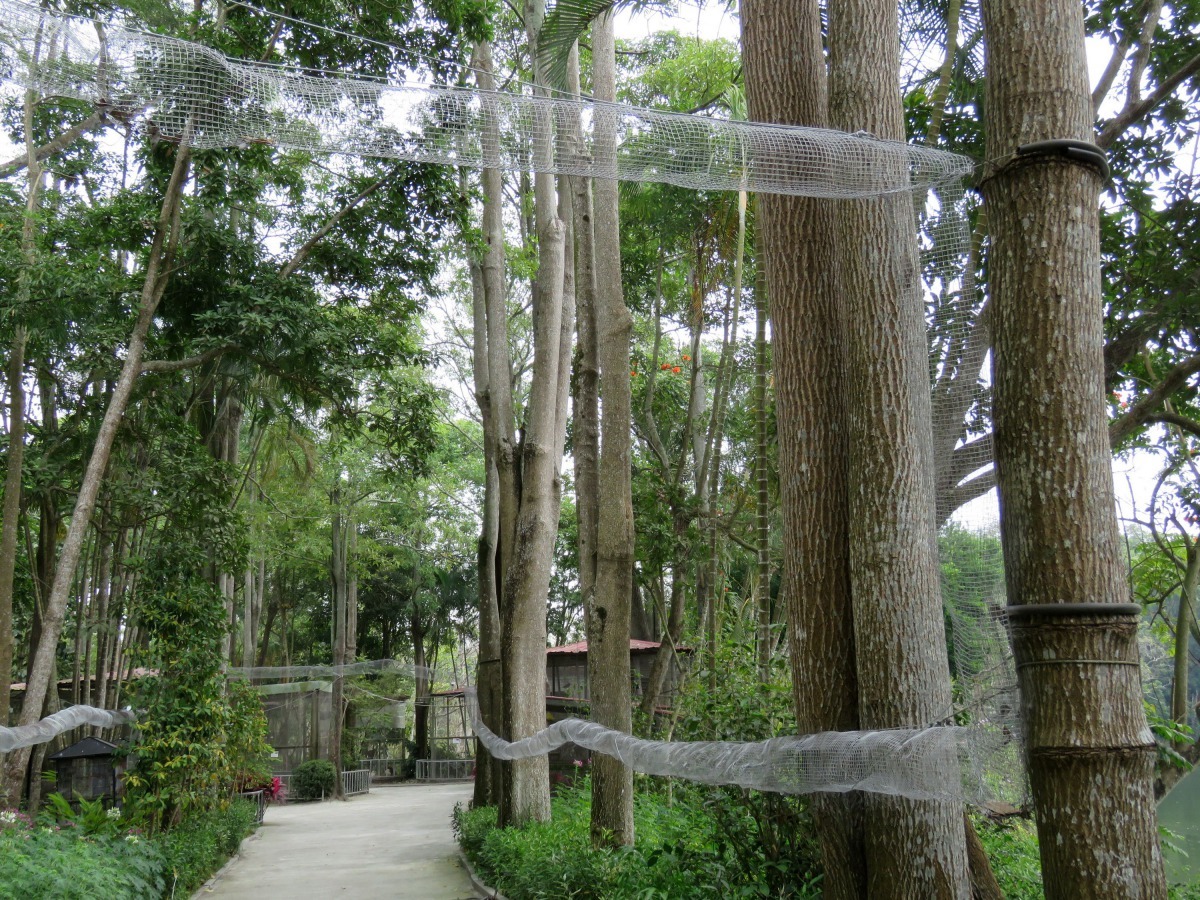 南元農場打造的松鼠天空步道。高維奇/攝