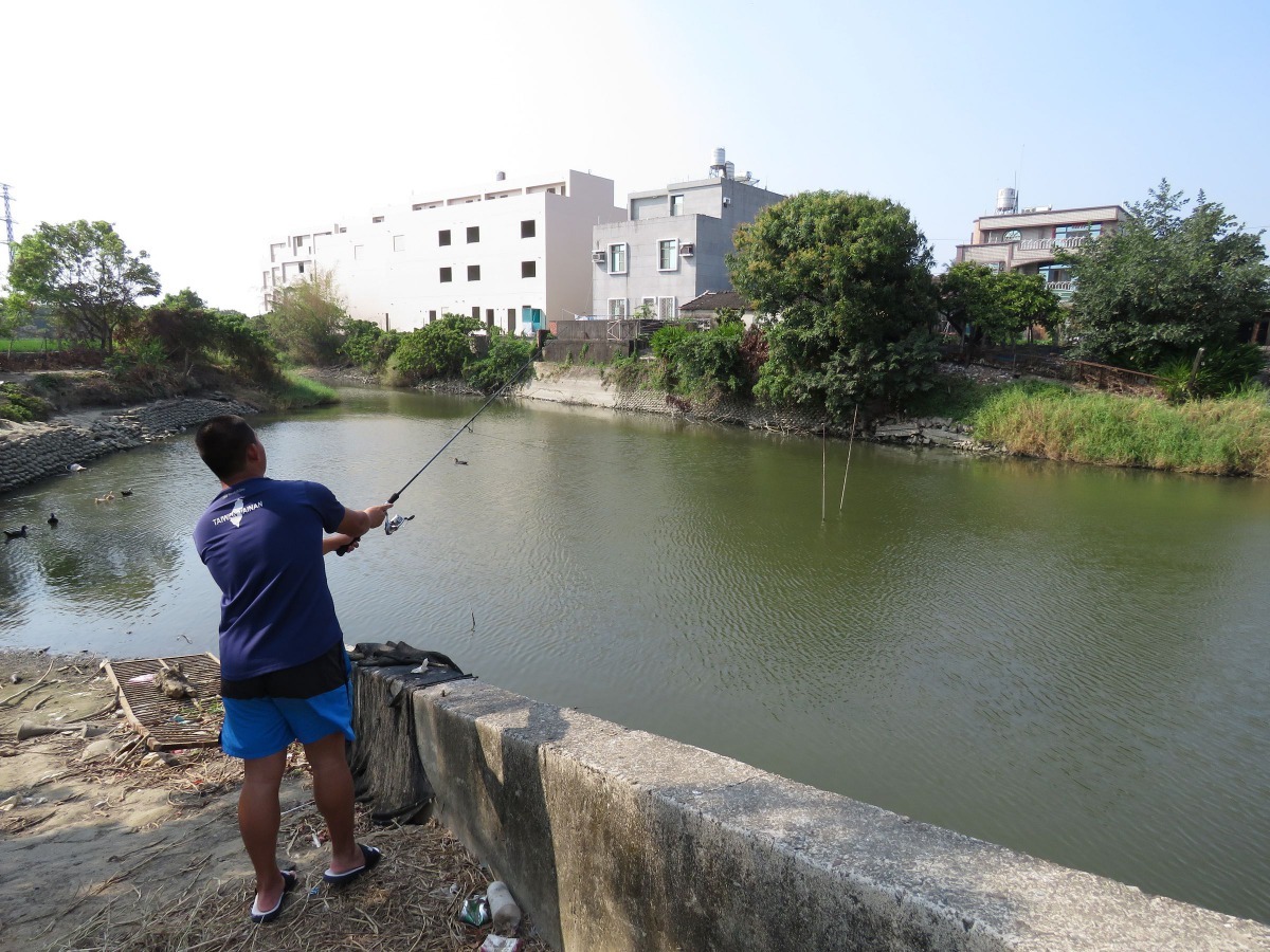 可以釣到魚的公池已剩不多，能看到翠鳥捕魚者更少了。高維奇／攝