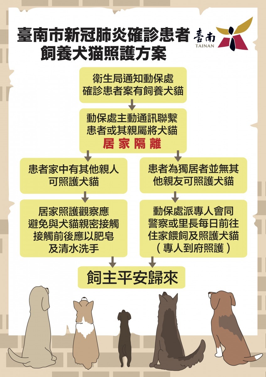 台南新冠肺炎確診患者太貓護護方案。圖/台南市動保處提供