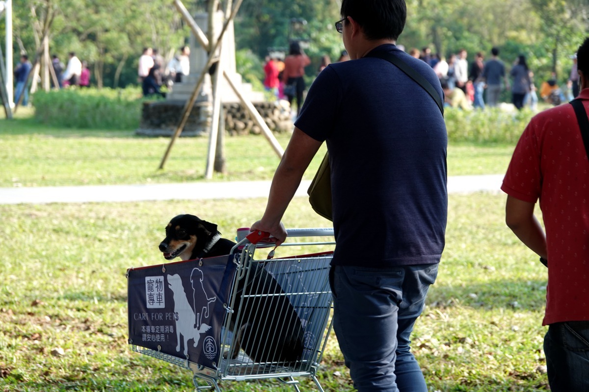 寵物推車讓毛小孩可以和飼主一起暢遊園區,普獲好評。高維奇/攝