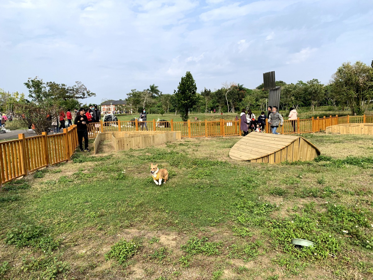 寵物遊憩專區,設置迷宮及平台,讓毛小孩也能在裡面奔跑嬉戲釋放精力。圖/水道博物館提供
