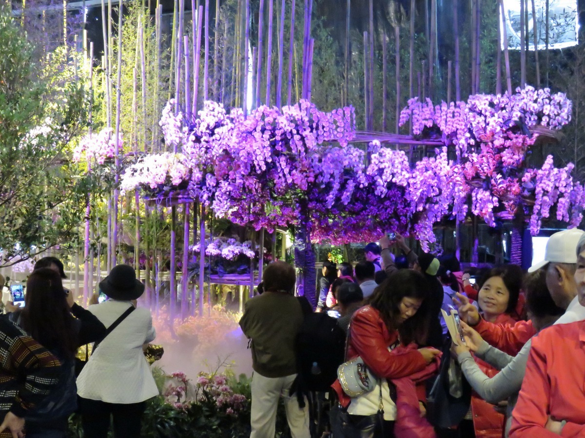 台灣國際蘭展今年以「蘭亭薈萃、以蘭會友」做為主題。高維奇/攝