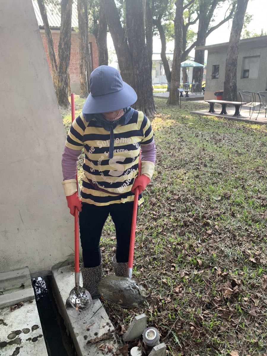 園區工作人員清水溝時發現一粒「石頭」卡住,板開石頭後赫然發現是烏龜。圖/水道博物館提供