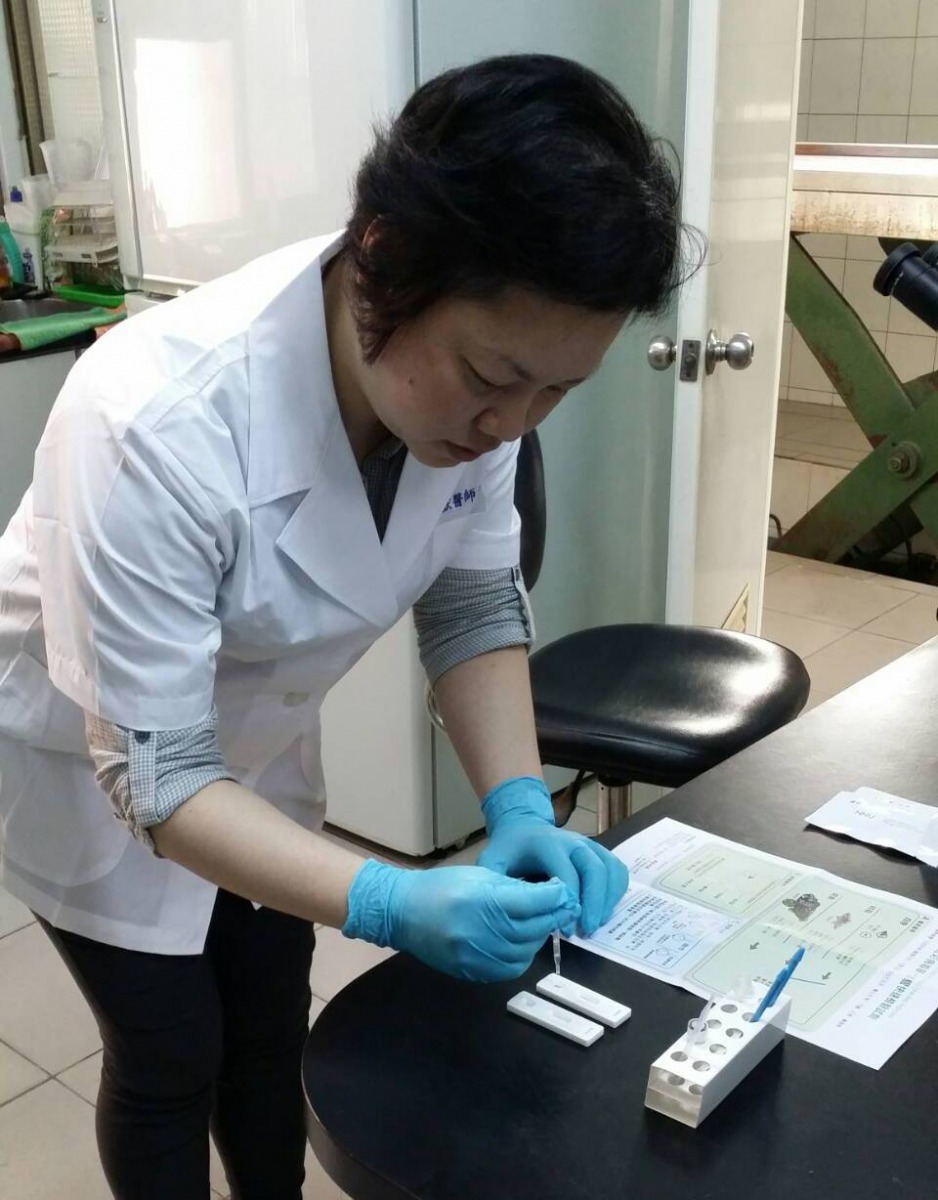 正在進行石斑魚苗虹彩病毒及神經壞死病毒快篩檢驗，可做為健康魚苗購入前的參考。圖／台南市動保處提供