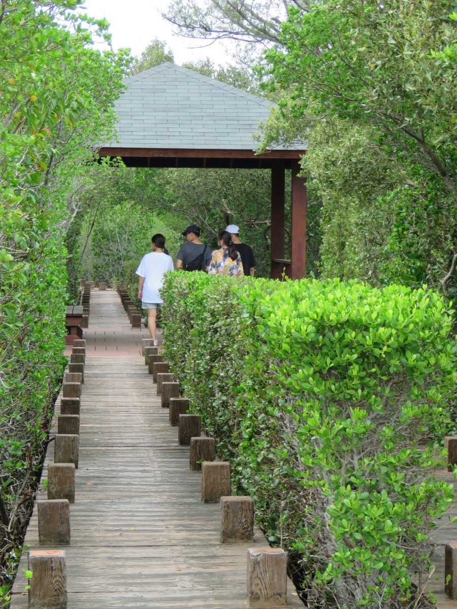 雙春濱海遊憩區-Vanahim愛莊園，一走進木棧道，很難不被場景吸引。高維奇／攝