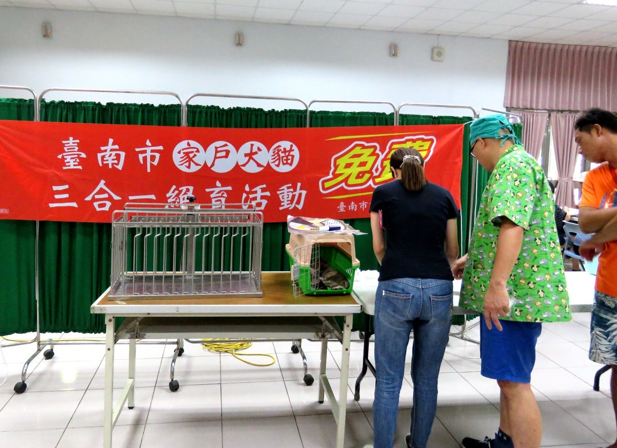 台南市動保處辦理偏鄉家犬貓絕育補助即日起報名。高維奇／攝