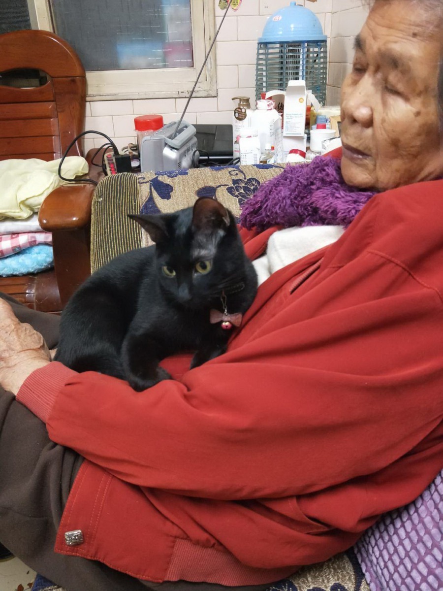 老人養寵物有撫慰、陪伴的效果，但飼養照顧寵物也是一件費心勞力的工作。高維奇/攝