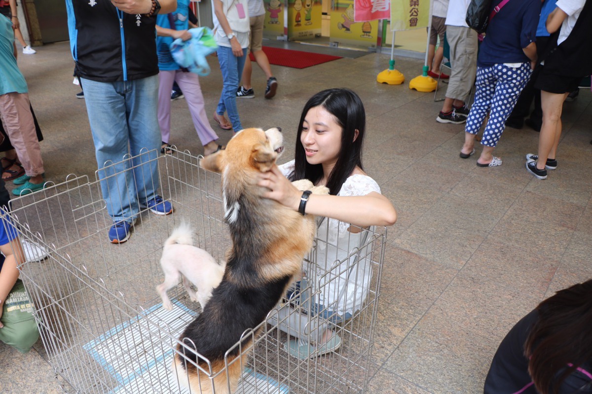 活動當天有5隻狗狗獲領養，找到下一站的幸福。新北市動保處/提供