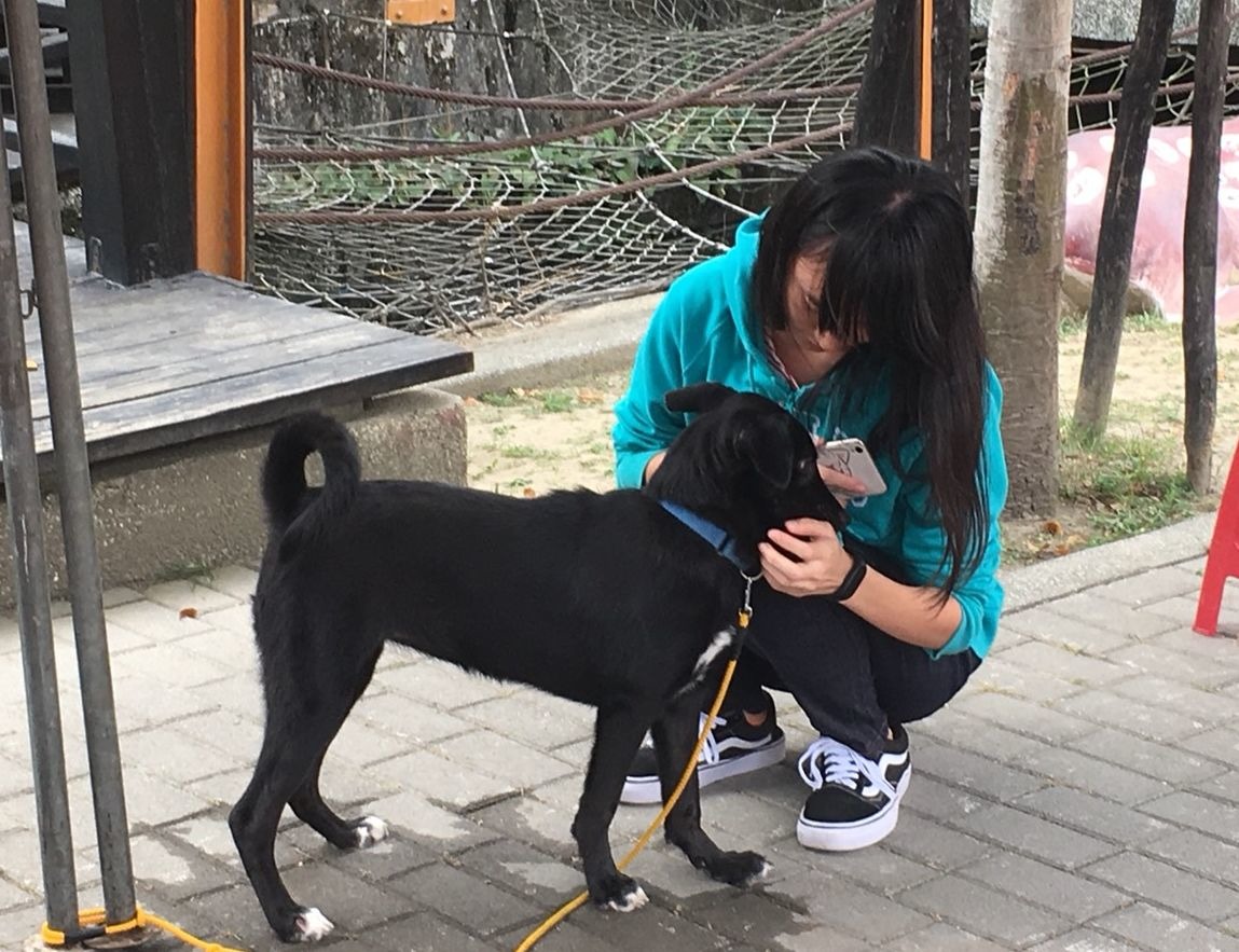 台南市動保處動物之家善化站員工率先認養了一隻白腳蹄幼犬。圖/台南市動保處提供