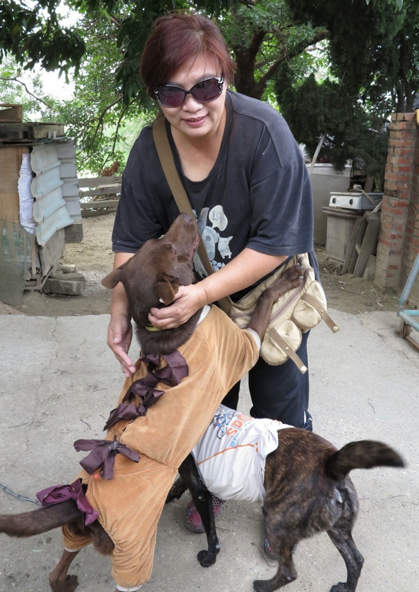 動保人士徐滿惠與收容的愛犬。高維奇/攝