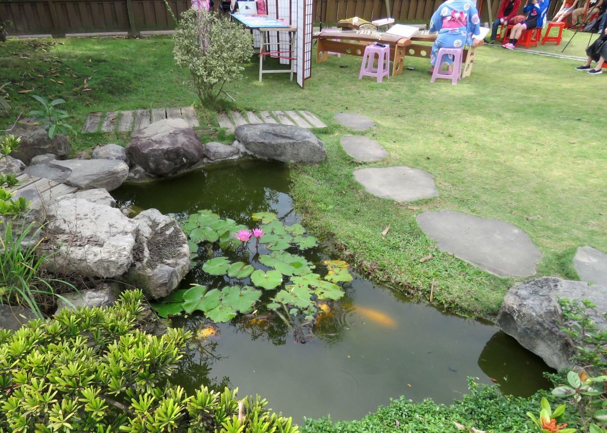 庭院小水池如生態鏈完整，也能復育蜻蜓。高維奇／攝