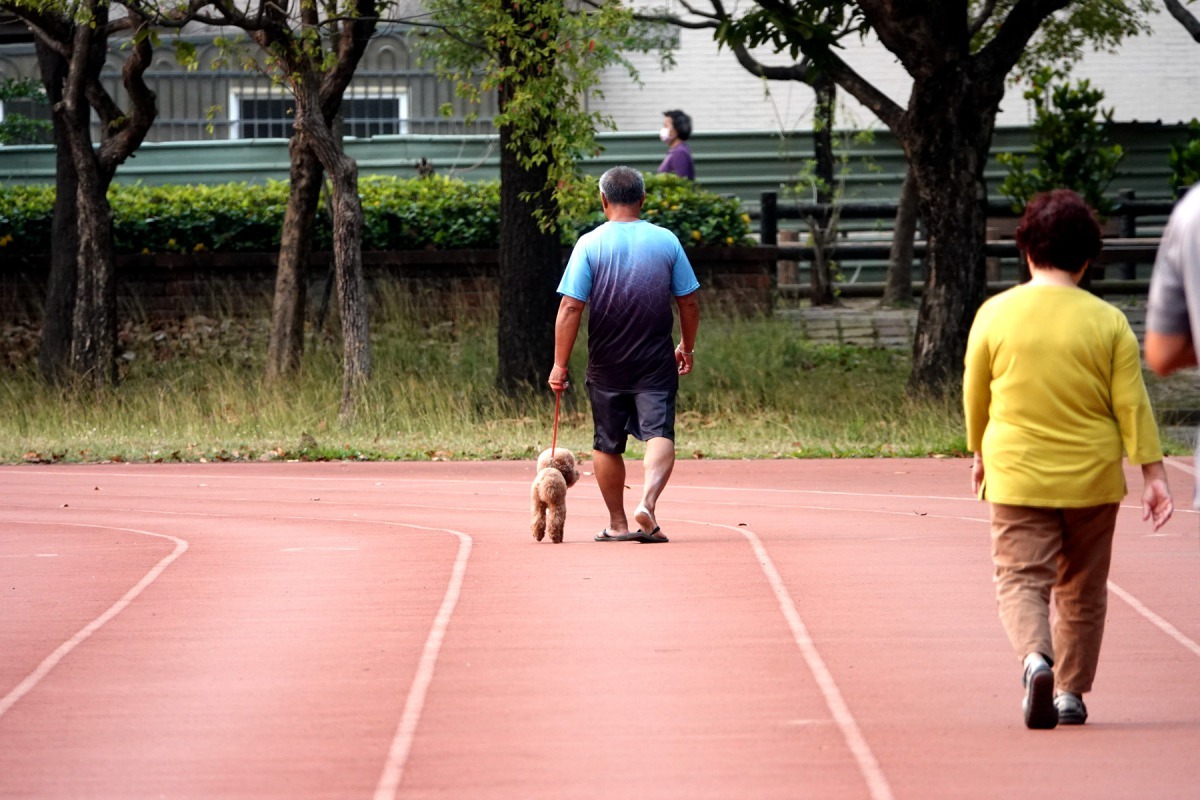遛狗可以強化飼主規律運動的動機。高維奇／攝