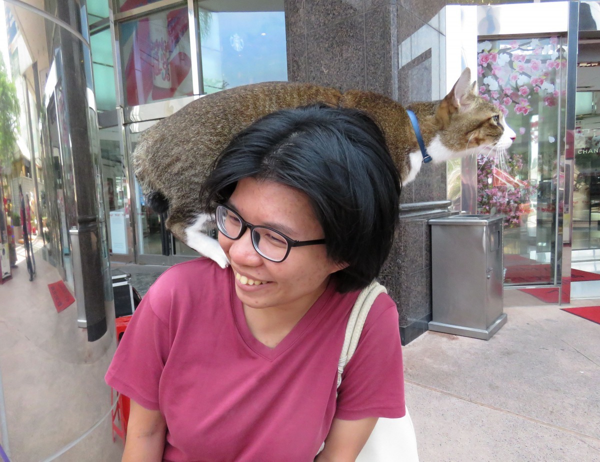 只要有肩膀就安全，陌生人也是。高維奇/攝