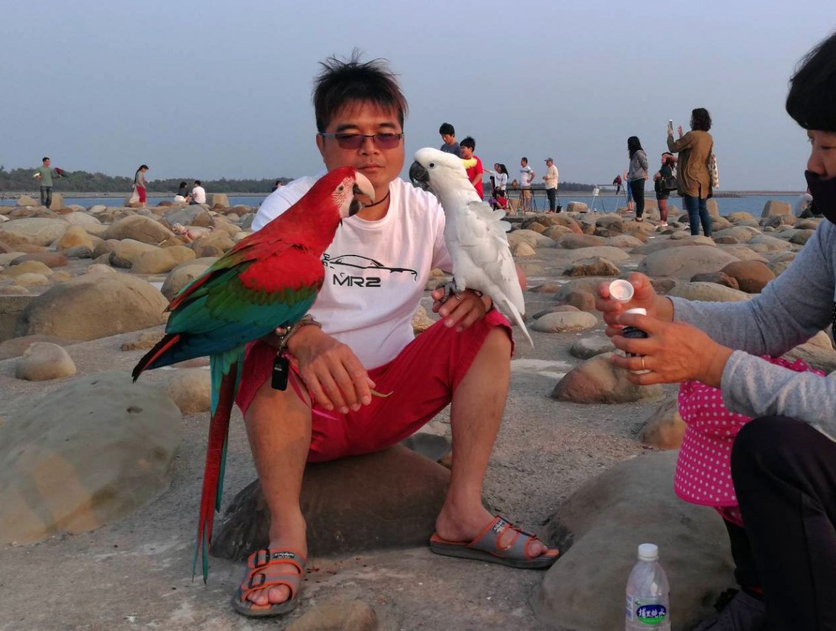 琪琪已有多次放飛的經驗。圖/吳嚴俊提供