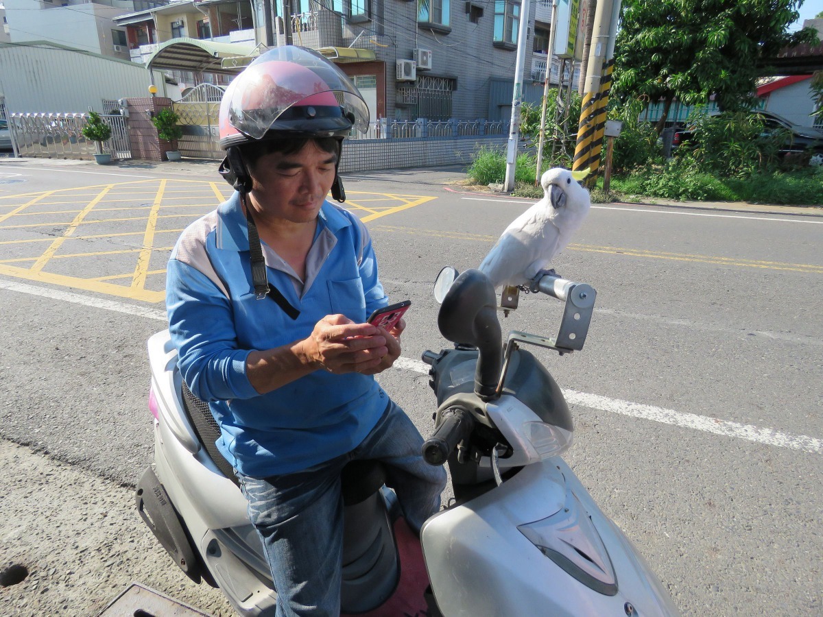 吳嚴俊工作有空就騎著機車帶著吳小弟找尋琪琪。高維奇/攝