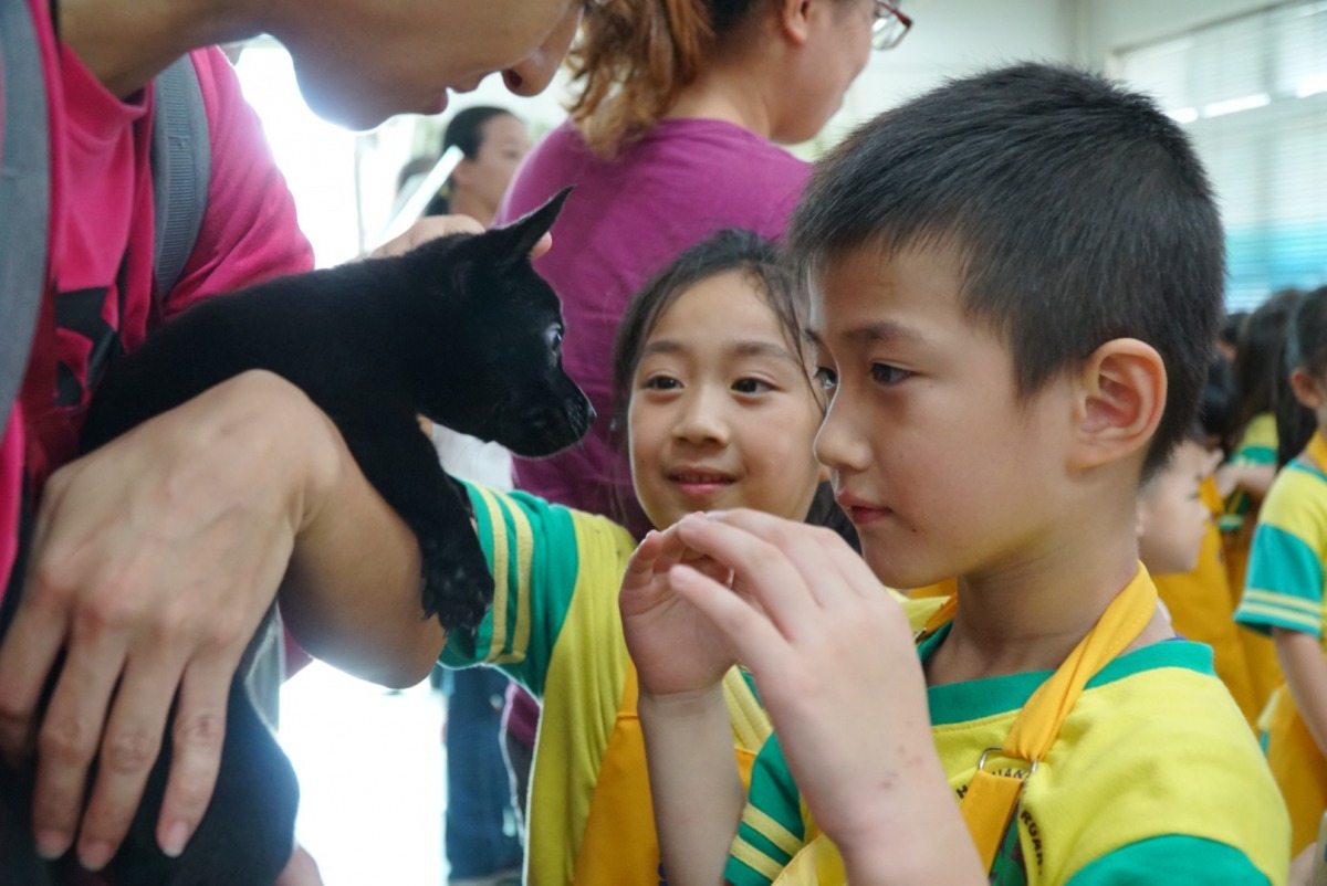 國小及幼兒園學童參與新北動保處舉辦的「動保小小兵」，體驗動物保護員工作的日常。新北市動保處/提供