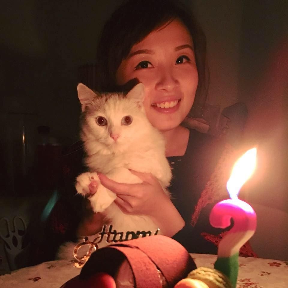 小提琴家吳宛蓁飼養的布偶貓。高維奇/攝