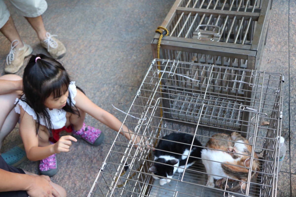 志工和獸醫師們也會在向民眾宣導動物保護觀念。新北市動保處/提供