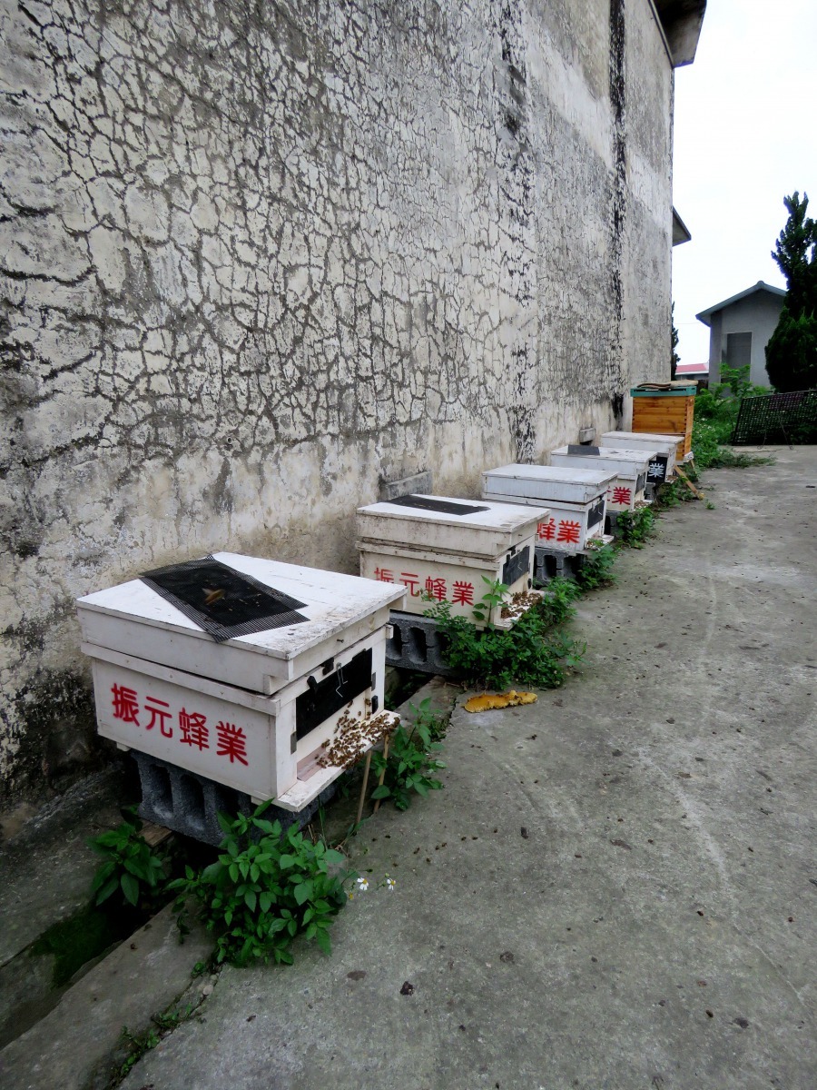 台南市南關社大開設休閒養蜂班的實習蜂場。 高維奇／攝