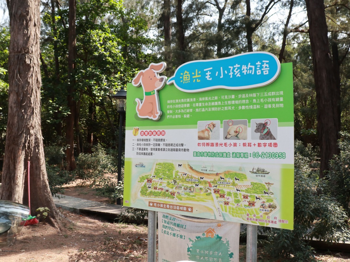 動保處在漁光島入口立有「漁光毛小孩物語」告示牌。高維奇/攝
