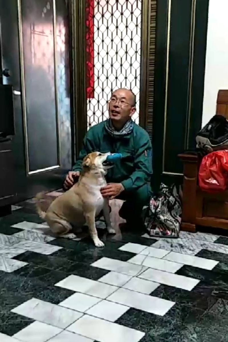 受歡迎的郵差常和仔仔玩，親暱有如自家寵物般。圖／周嘉卿提供
