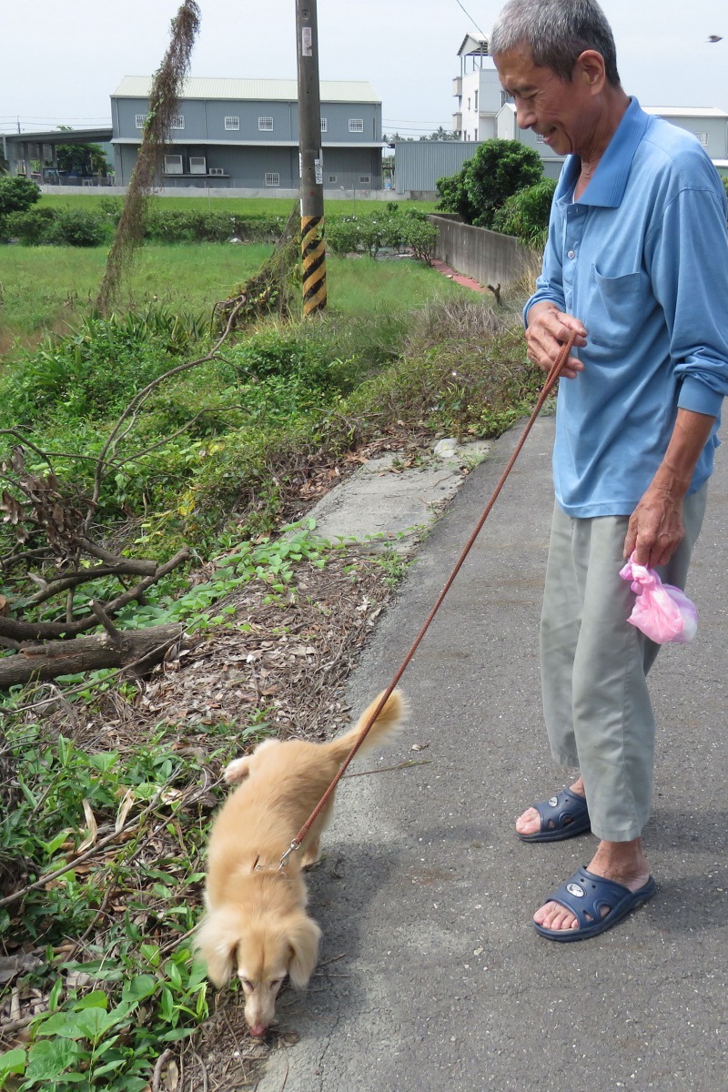 載狗到田野小大便，仍隨手帶著塑膠袋清狗便。高維奇／攝