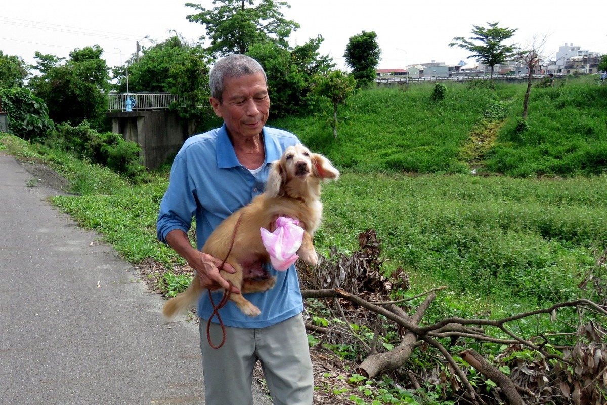 大小便後抱狗回機車，不讓接觸地面弄髒。高維奇／攝