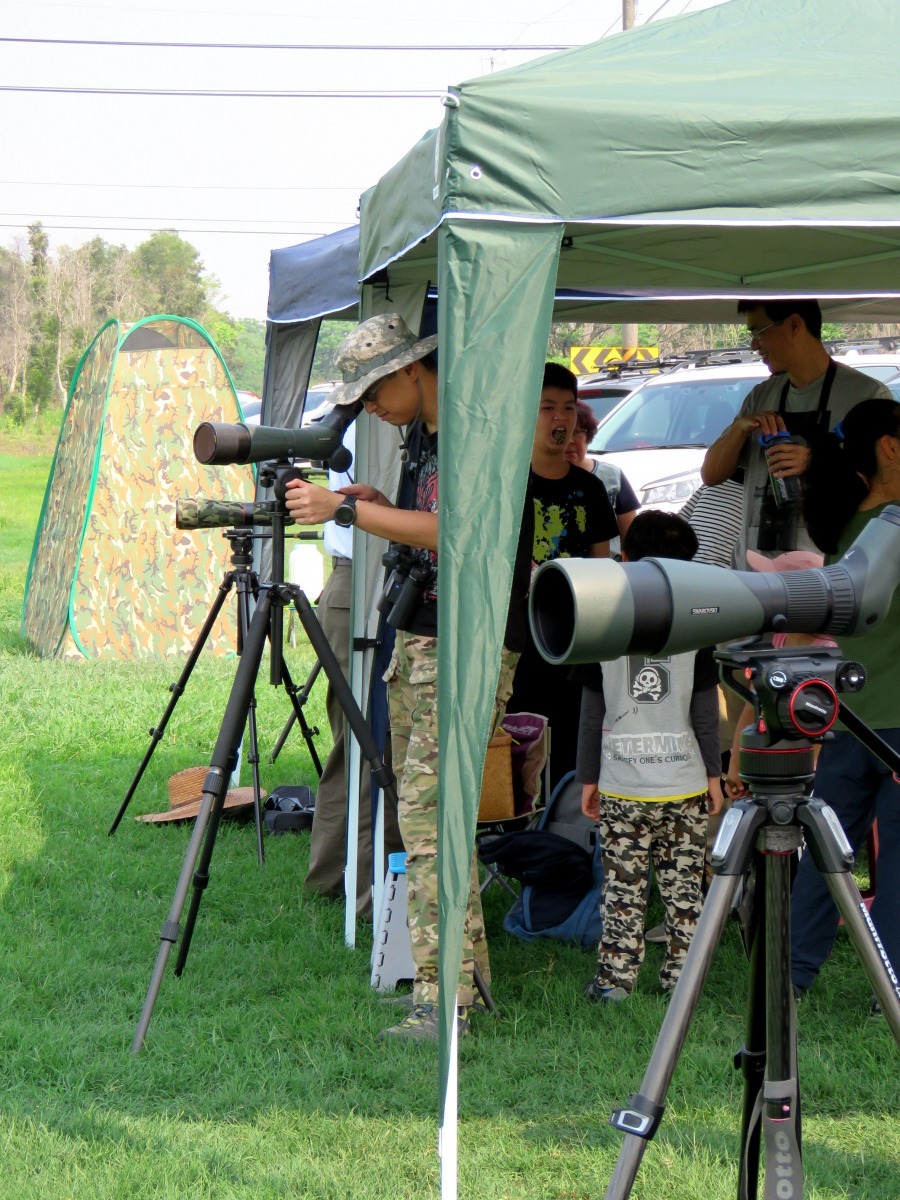 台南市野鳥學會呼籲,不要以過度干擾的方式觀察或攝影。高維奇/攝