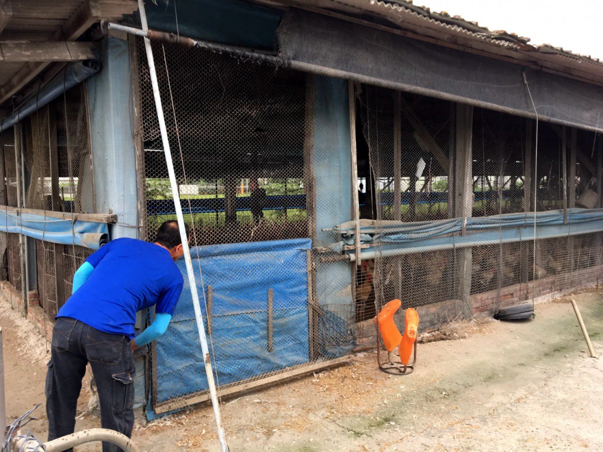 雨季來臨前需修繕禽舍屋頂、帆布、防鳥及飲水器等設施。圖／台南市動保處提供
