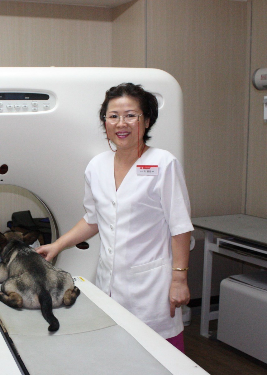  朱碧娥38年的動物看診資歷，是國內最資深的女獸醫師。高維奇/攝