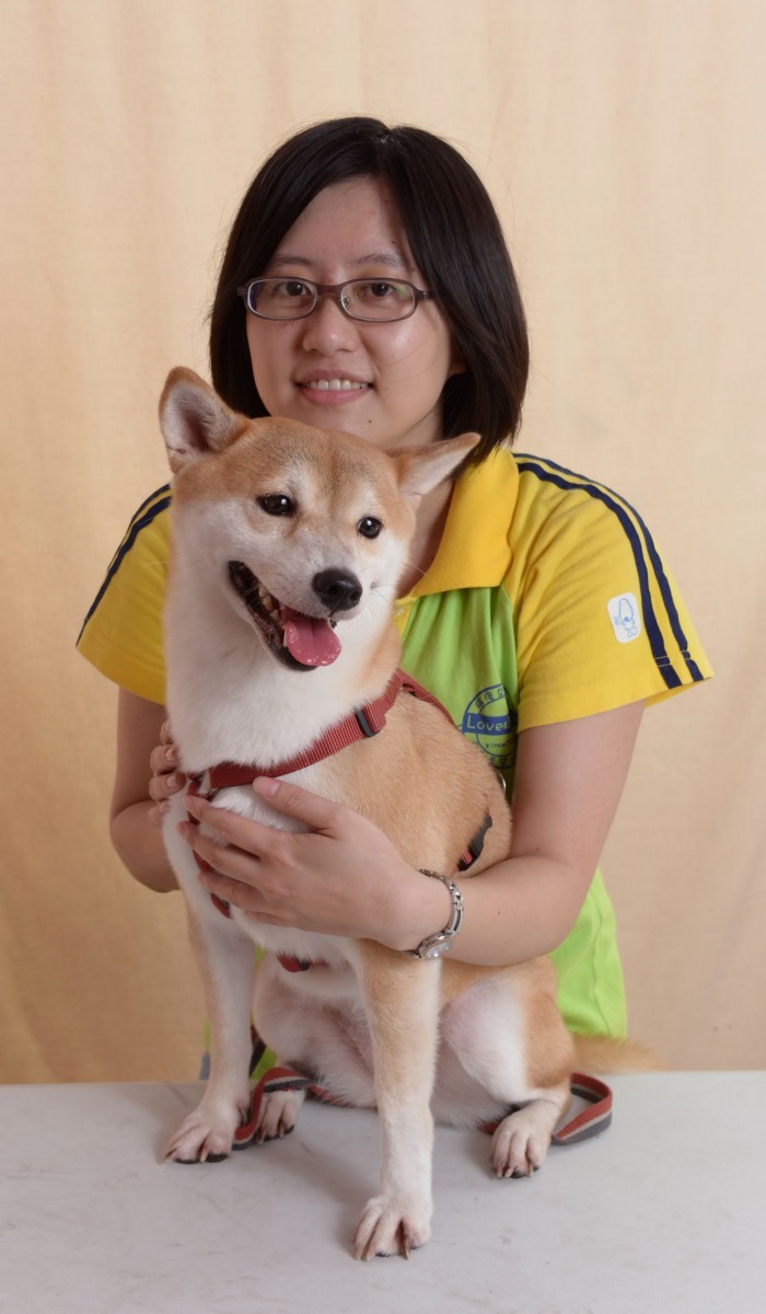 特教老師蔡明惠寵愛的柴犬。高維奇/攝