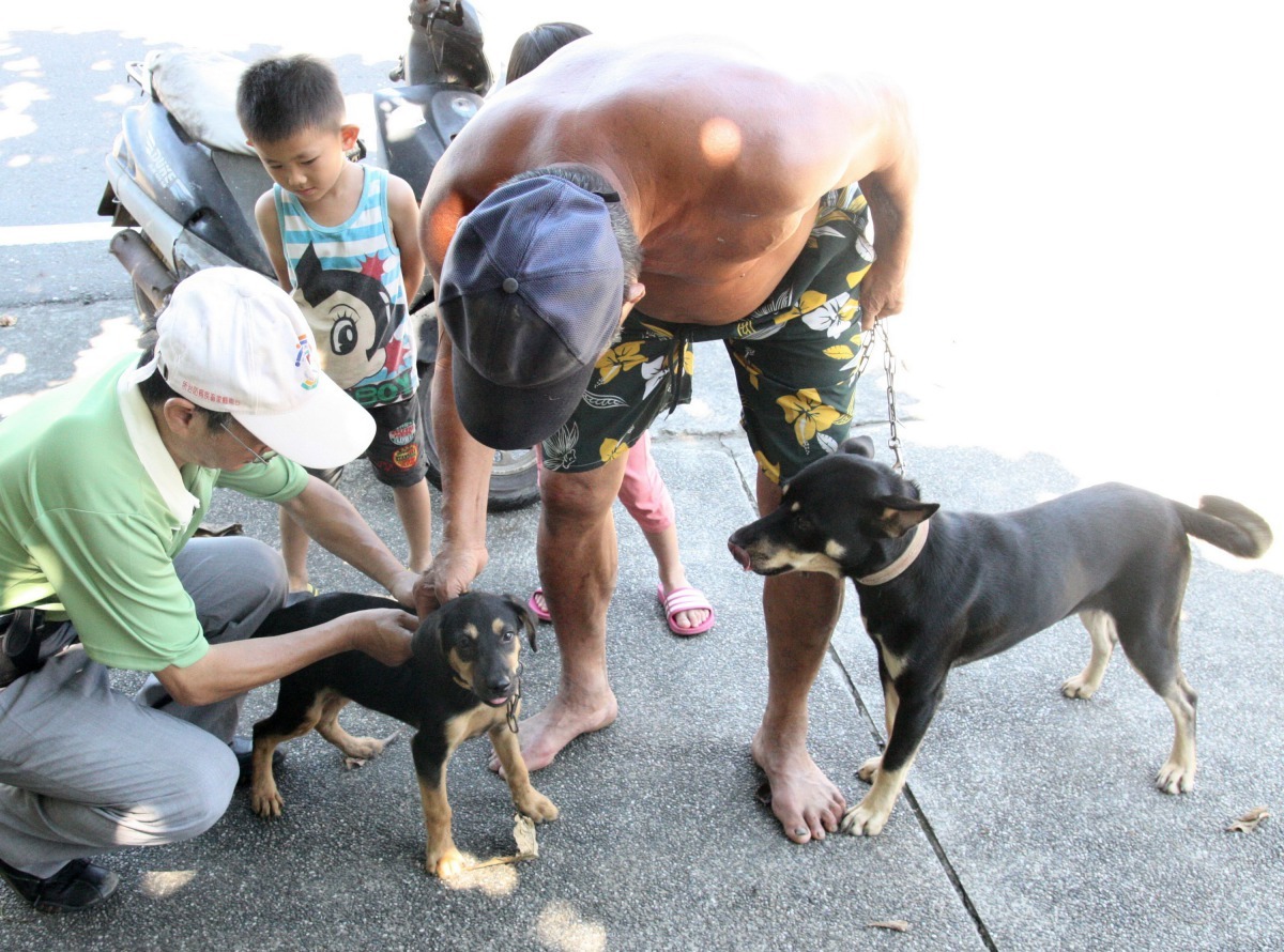 動保處呼籲民眾應每年須帶犬、貓等寵物施打狂犬病疫苗。高維奇/攝