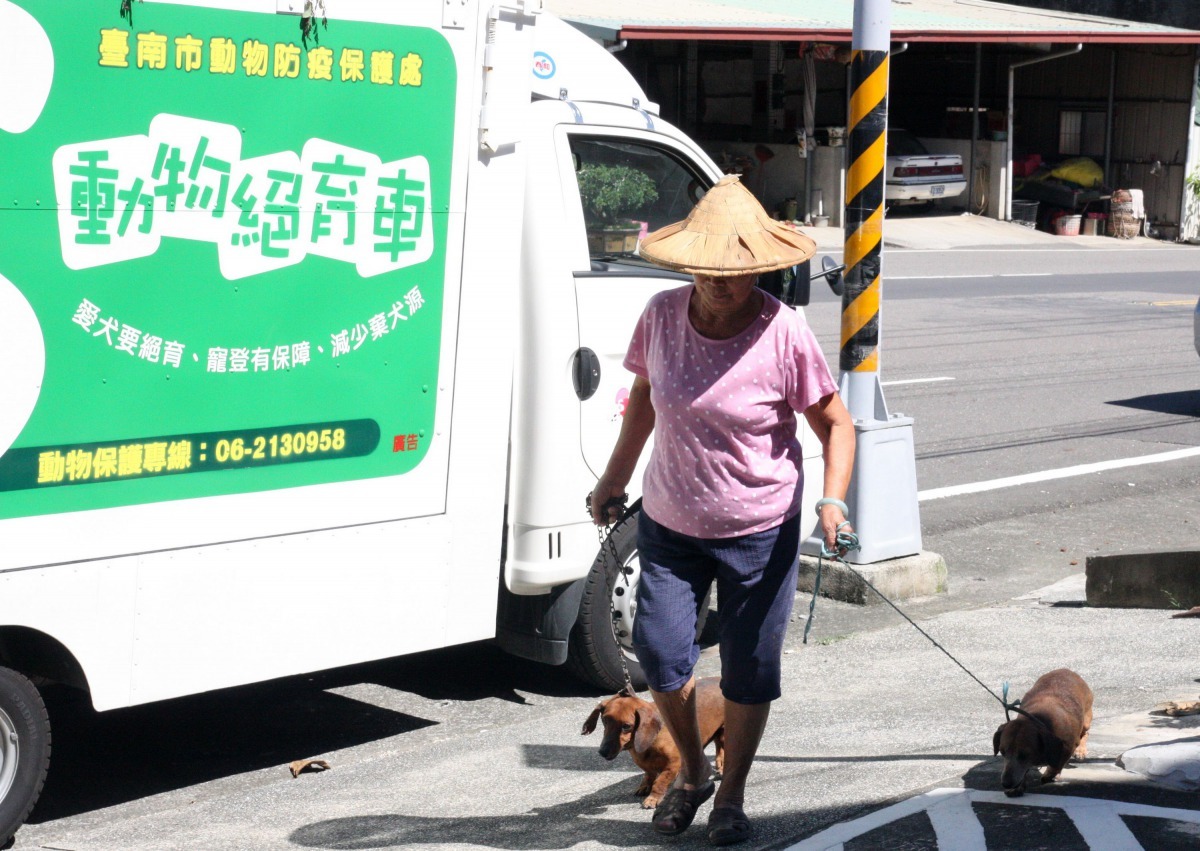 台南市動保處107年偏鄉家犬貓免費絕育三合一活動6月14日開始進行。高維奇/攝