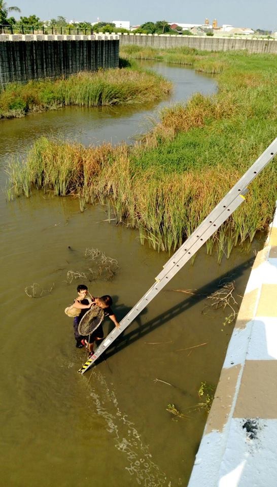 動保處常接獲犬貓掉落U型溝的救援案例，都因U型溝高且陡而倍增救援困難。高維奇／攝