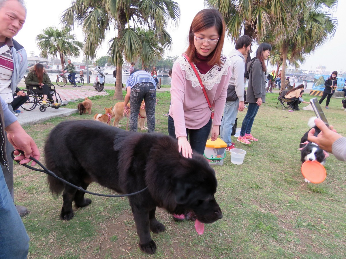 林默娘公園是黎百康、劉映蓮夫婦心目中遛狗的天堂。高維奇/攝