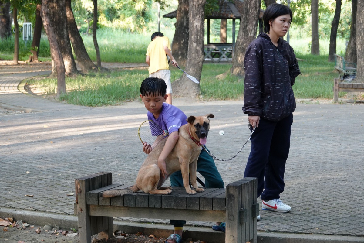 南圳綠堤毗連體育場，晨昏常見民眾帶狗運動。高維奇／攝