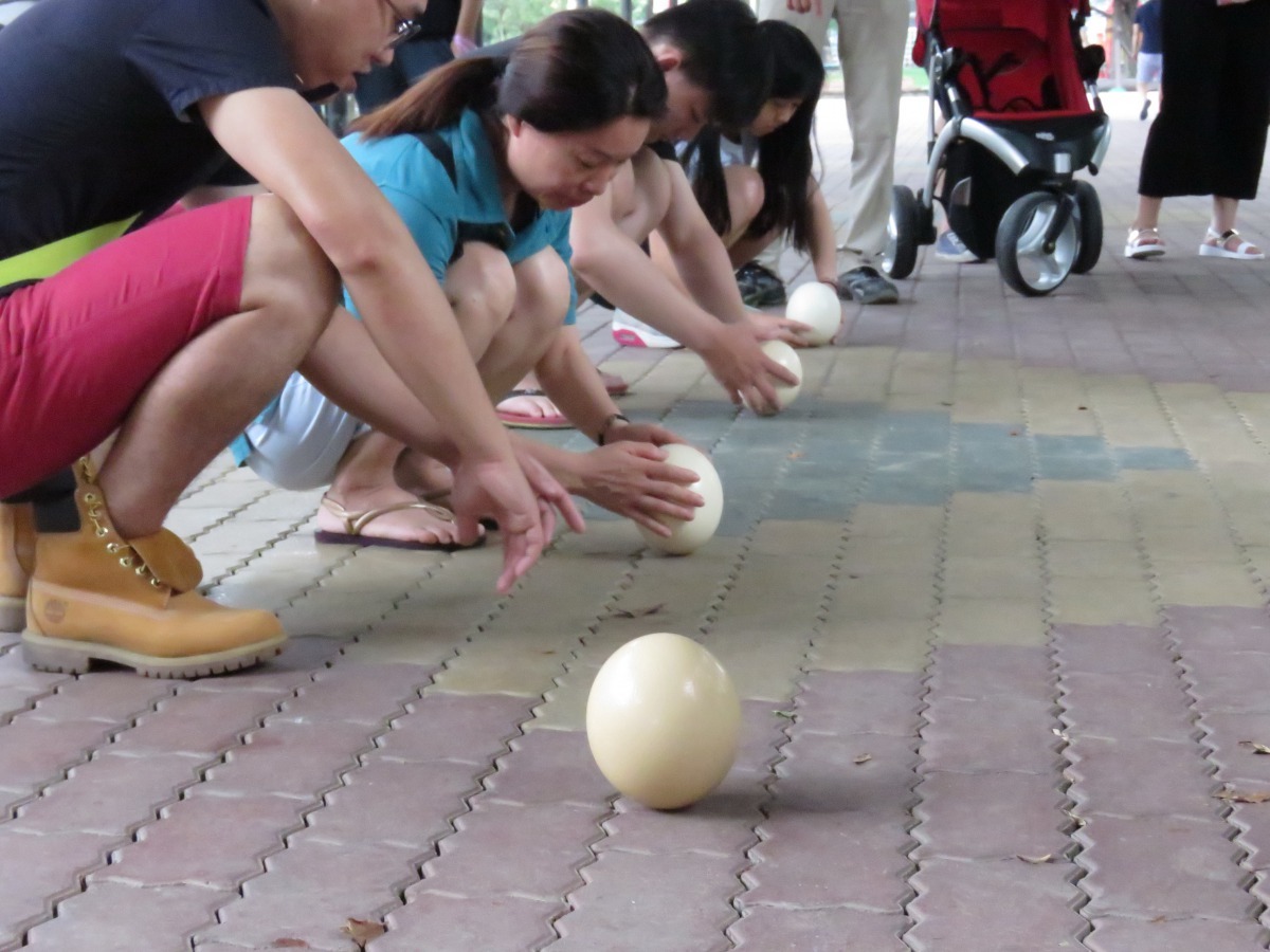 端午節連續假期3天內的中午，都有人在頑皮世界動物園立起鴕鳥蛋。高維奇/攝