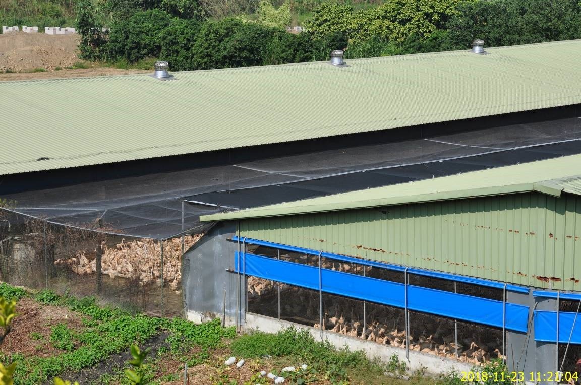 台南市率先全國由農業局進行養禽場防鳥設施補助。圖／台南市動保處提供