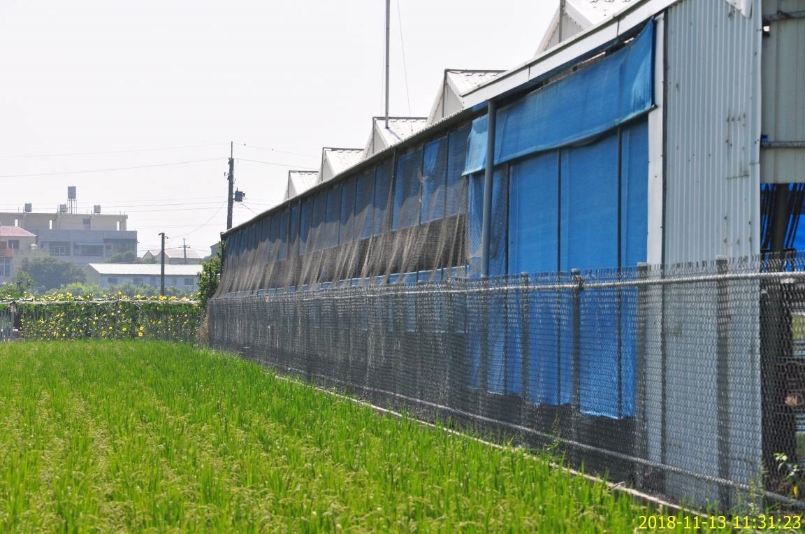 動保處要求全市養禽場均應具有防鳥設備，以有效阻絕鳥禽飛入帶來風險。圖／台南市動保處提供