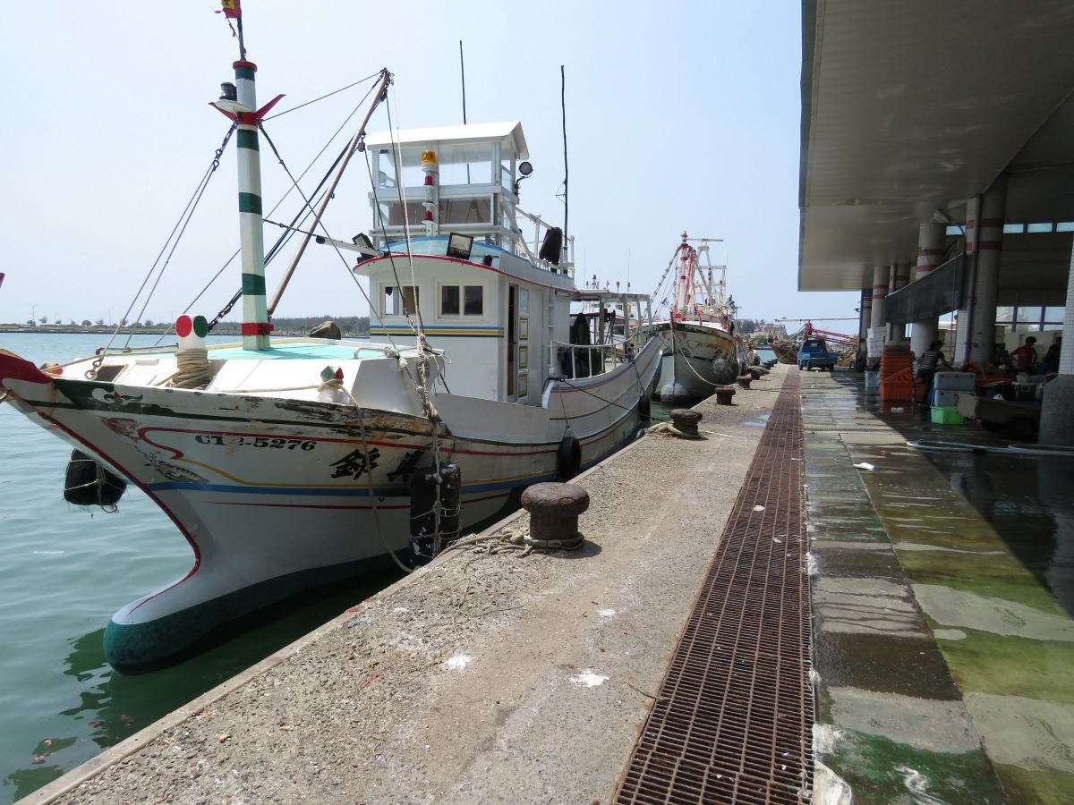 將軍漁港6月23日星期六舉辦「犇鱻在將軍—漁港搭船趣活動」。高維奇/攝