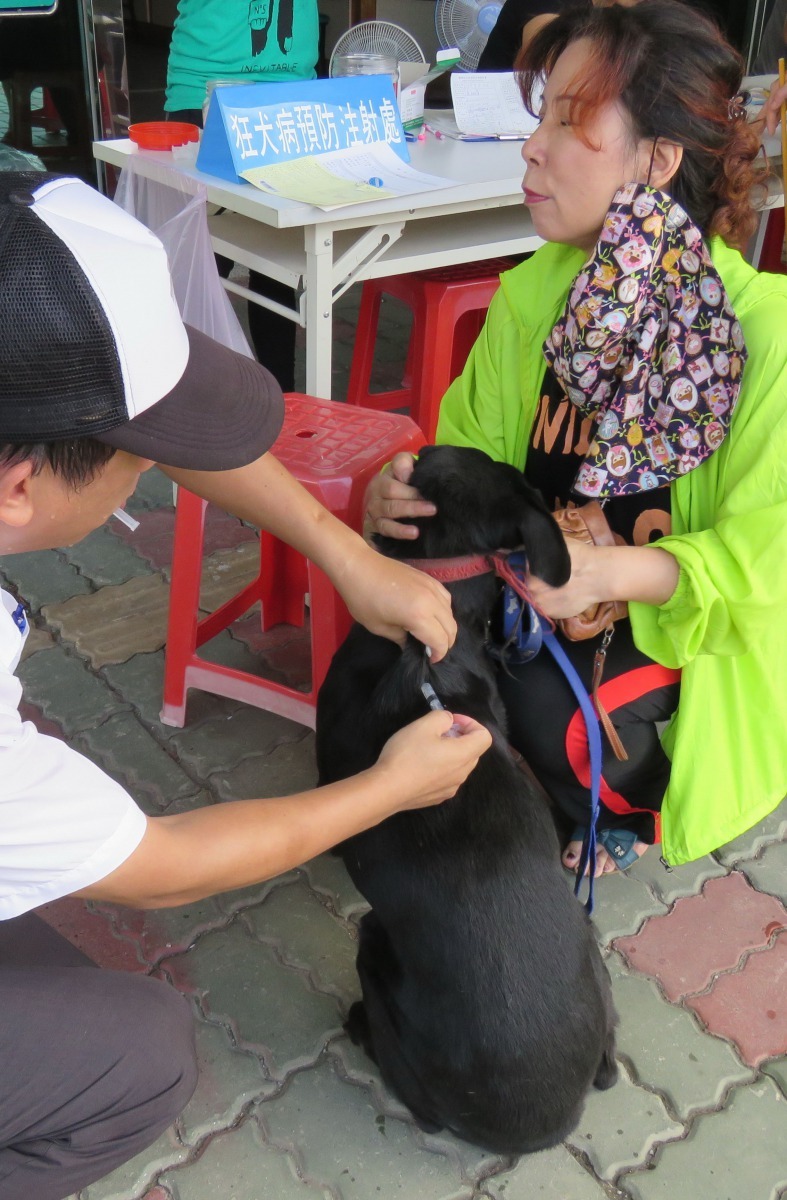 動保處在當天提供免費寵物登記及狂犬病疫苗。高維奇/攝
