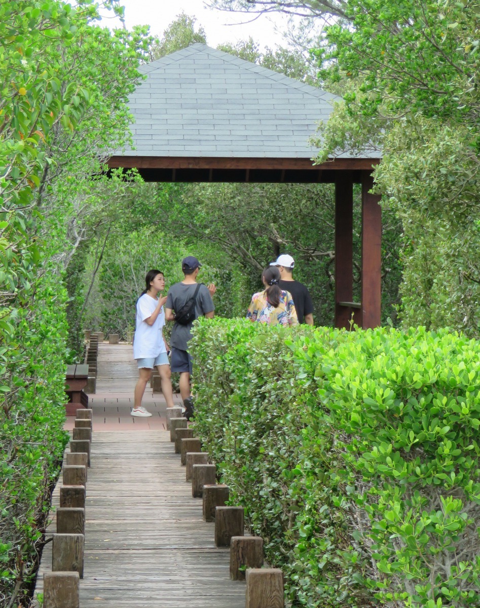 雙春濱海遊憩區有「小忘憂林」之稱的步道景致。高維奇/攝