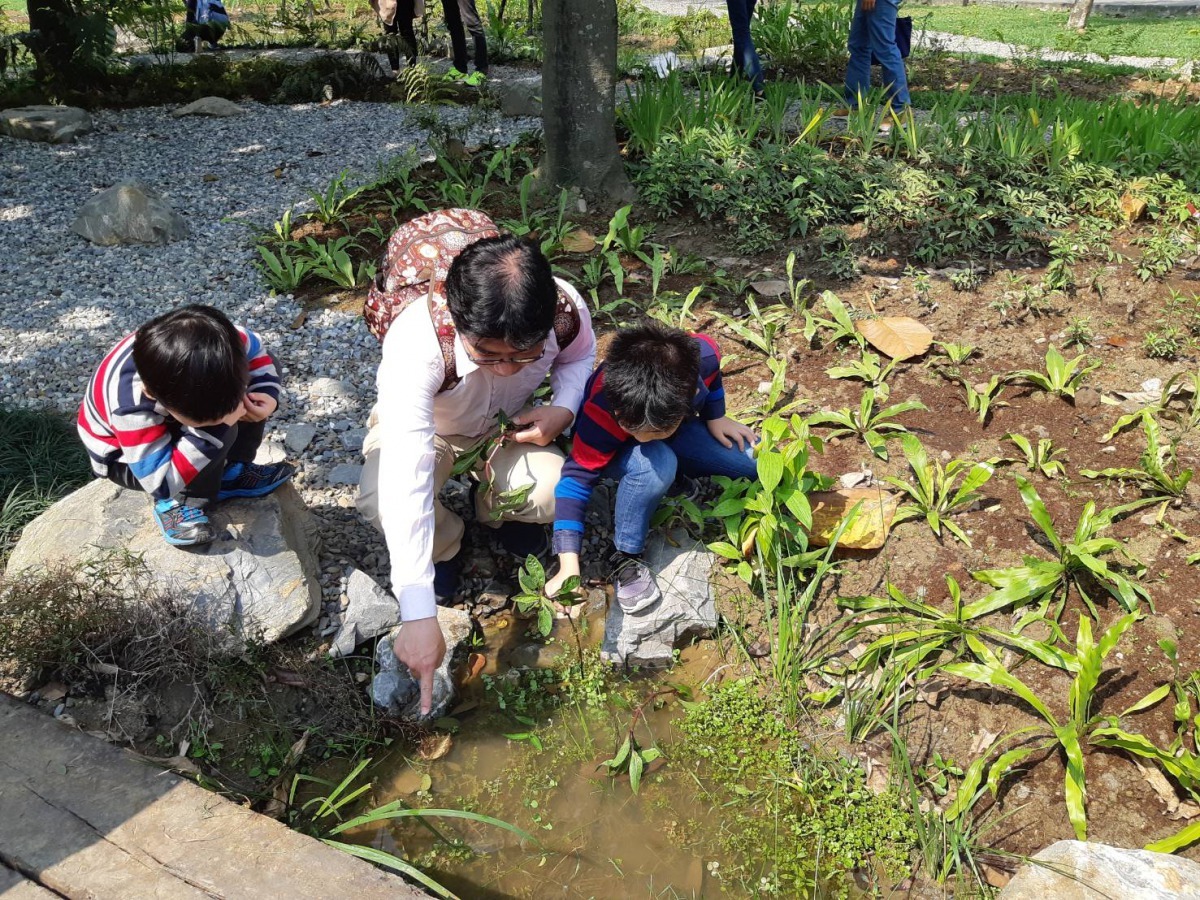 北市日前於大安森林公園啟動「打造動物的家」計畫，小朋友種植大安水蓑衣。台北市公園處/提供
