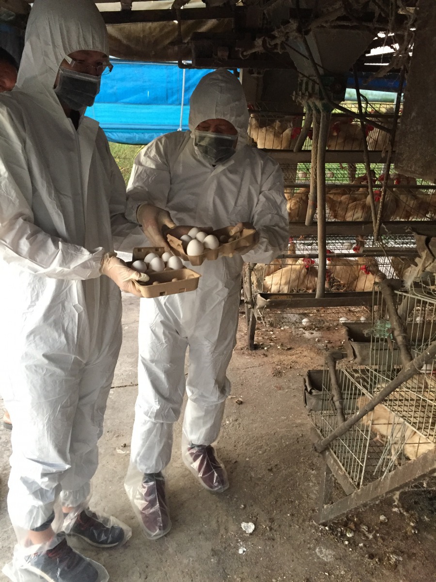 農業局及動保處推動畜牧場源頭管控，積極辦理每項抽查檢驗及業者稽查作業。圖／台南市動保處提供