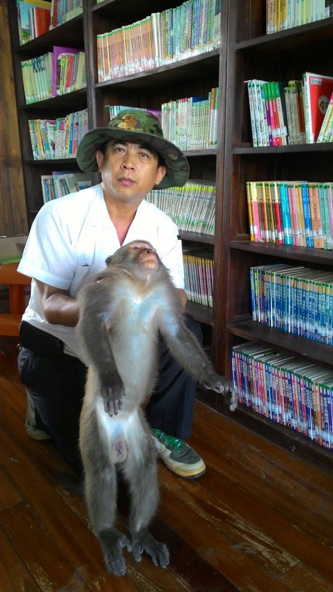 林景山時常支援台南地區的抓猴工作，圖為在南化區西埔國小捕捉到的獼猴。圖/林景山提供