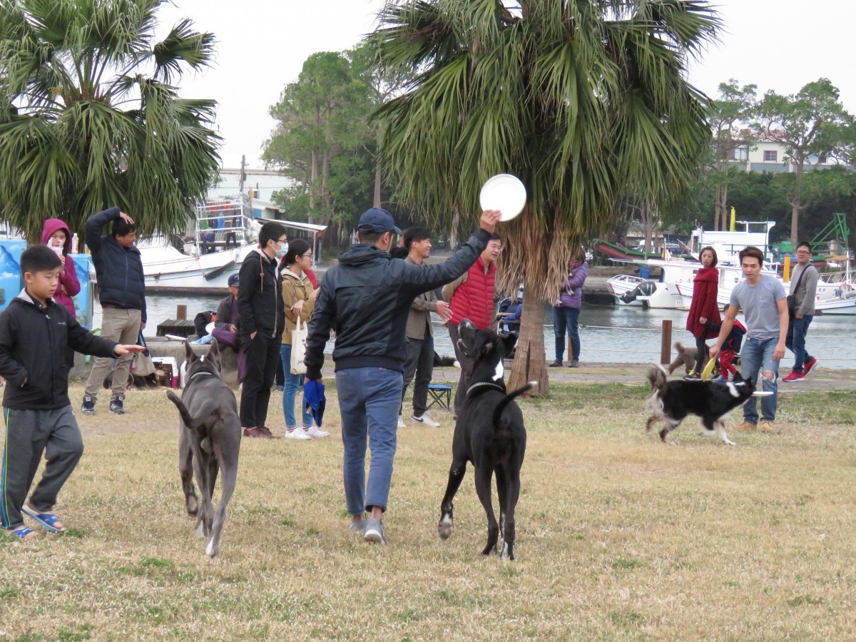 林默娘公園是台南地區著名的寵物公園，堪稱是品種犬大觀園。高維奇/攝